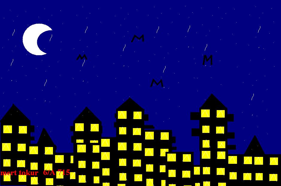 manzara gece55.JPG