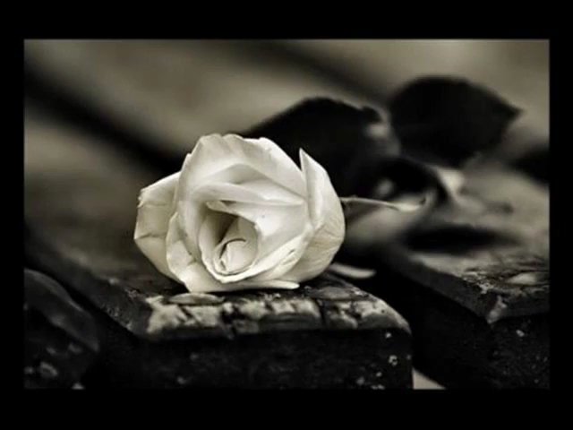 244559_2242459504557_2242396262976_8685_920_b (1).jpg